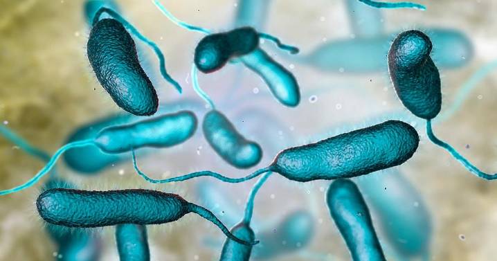 Rare Flesh-Eating Bacteria Claims Fifth Life in Louisiana