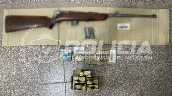 El Huecu: ofrecía armas para la venta en redes sociales y le hallaron restos de animales protegidos