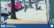 Detuvieron al delincuente que agredió con un botellazo a una mujer para robarle el celular en Villa Pueyrredón
