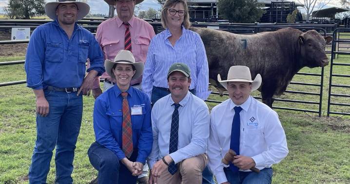 Weebollabolla 58th annual Shorthorn sale, September 12, 2025