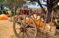 Disfrutan del Festival de Otoño de la comunidad menonita