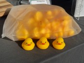Helicopter to rain down rubber ducks in Blackfalds