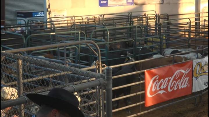14th Annual Tangipahoa Parish Sheriff's Office Rodeo held in Amite