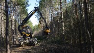 ¿Se pueden limpiar bosques y montes? Ojo al lío burocrático y normativo