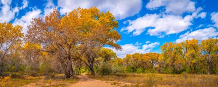 LIST: Best fall hikes within an hour of Albuquerque