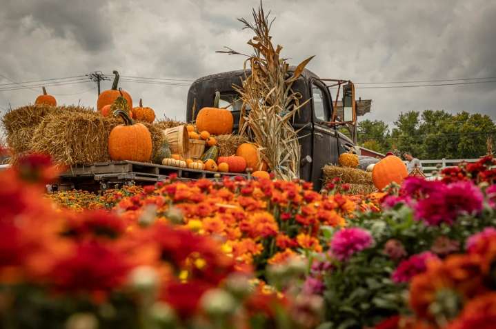 Diversión asegurada en Festivales y Ferias de Otoño en Long Island