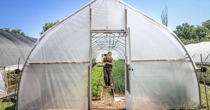 FDA reductions mean less money for food safety at New Mexico Department of Agriculture