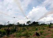 Petro advierte que “donde la ciudadanía ataque al Ejército habrá fumigación aérea” de cultivos ilícitos