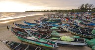 These West African villages used sticks to fight sea rise
