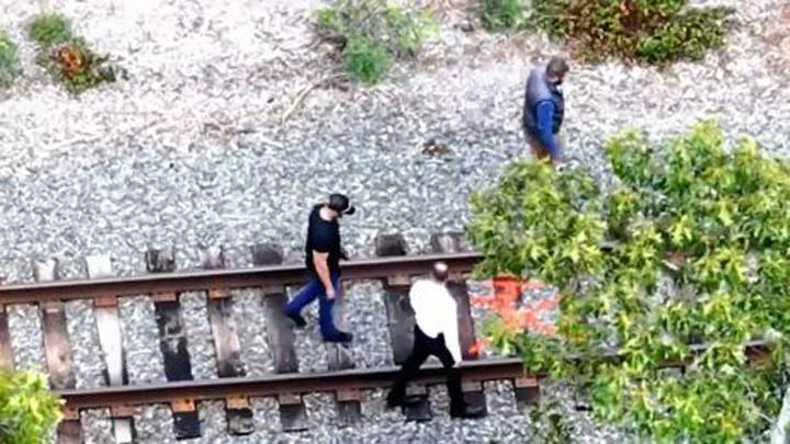 Investigation underway after body found in wooded area in Wareham