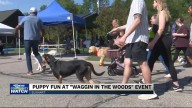 5th annual Waggin in the woods in Elkhart