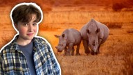 Radioactive rhinos: How nuclear technology is being used to stop poachers
