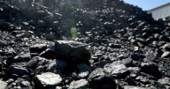 'Call to arms': peak body joins coal royalties fight