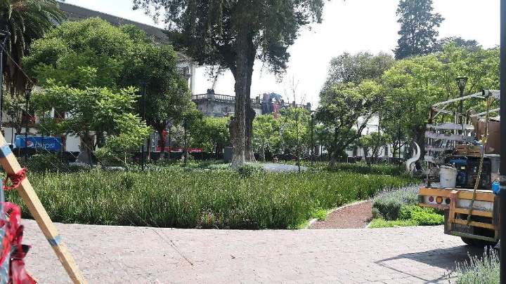 Erradican plaga de roedores en el Jardín Zaragoza tras trabajos de remodelación