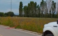 Encuentran osamenta en campo menonita
