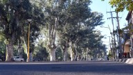 Recomiendan evitar ingresar o permanecer en la zona del Parque Aguirre mientras persista…