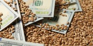 Retenciones 0% al campo: cómo funcionará la eliminación temporal de los derechos de exportación para granos y carnes