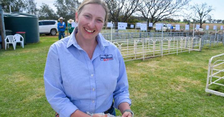 Wool market surge and unbeaten run boost optimism for NSW growers