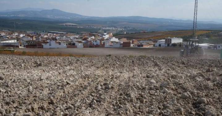 Moriles proyecta un moderno centro con "burbujas para el teletrabajo" para atraer a nómadas digitales