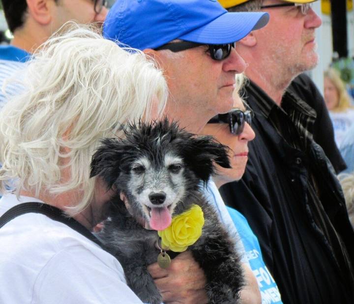 Get creative for Sault Alzheimer Society fundraiser