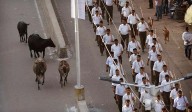 Kerala Court Acquits 9 BJP-RSS Activists In 2015 CPI(M) Murder