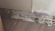 Judge rules lawsuit against Ohio State involving Lawrence Tower mold issue can proceed