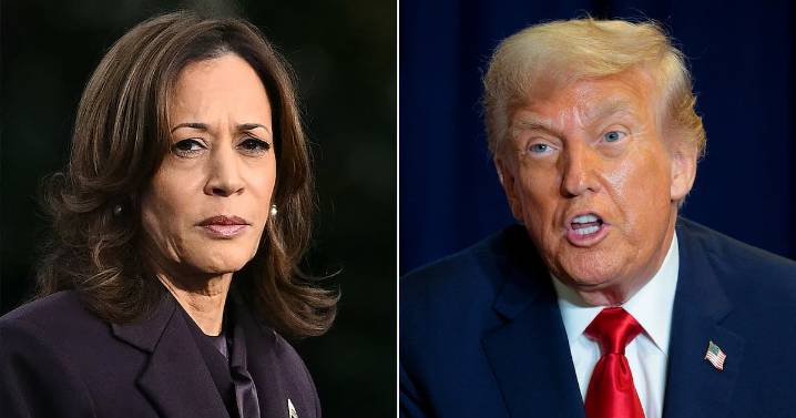 Trump Melts Down Over Kamala Harris’ Strange Election Claim