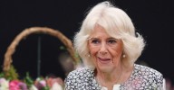 Queen Camilla 'Whacked' Sexual Assaulter on Train With Her Shoe, Bombshell Book Claims