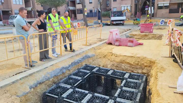 El Ayuntamiento optimiza el crecimiento de los árboles con un sistema pionero