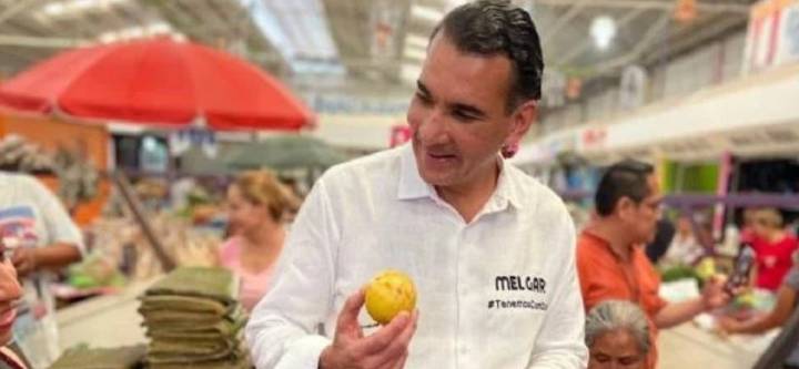 Senador del PVEM respalda ruptura con Morena en 2027: “nunca debemos olvidar que han habido ratas”