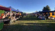 ¡No te pierdas la gran fiesta del Mercado Línea Verde en su primer aniversario! Música, juegos mecánicos, talleres y más