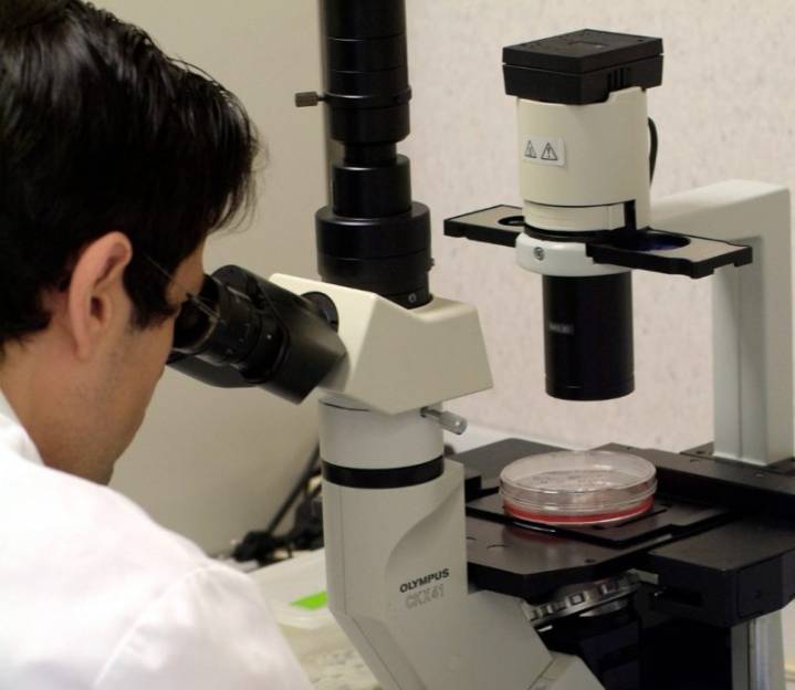 La Comunitat Valenciana celebra la Noche Europea de la Investigación con más de 50 actividades