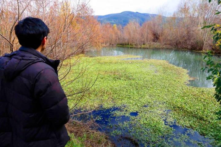 Chiguayante: piden que humedal “Los Boldos” sea declarado “Urbano” ante la extensión de ruta Costanera