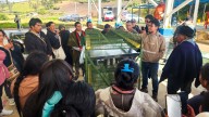 Más de 120 familias cuyícolas de Nariño mejoran sus sistemas productivos con inversión de regalías