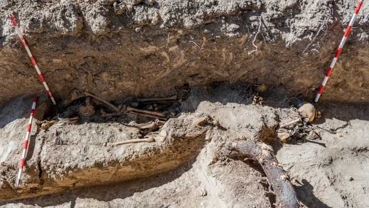 Encuentran restos de 72 personas en dos fosas comunes en un parque de Sevilla