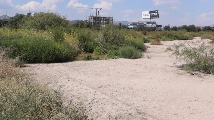 Desplazaba urbanización a la fauna; señalan ecocidio al norte de Saltillo