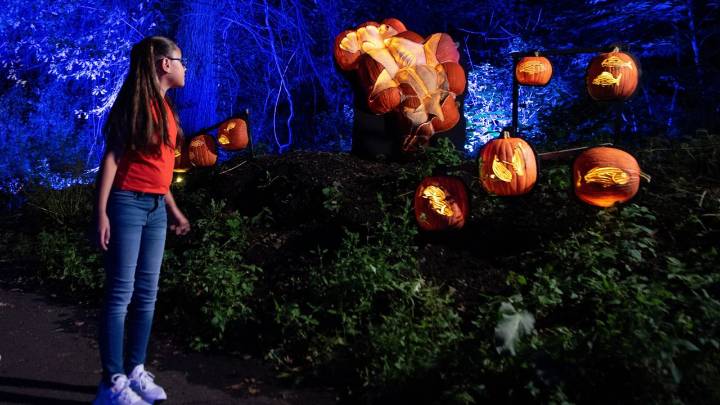 Things to do in New York City this weekend