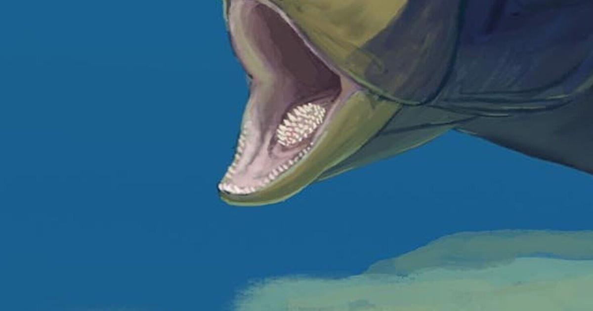 This ancient fish had four sets of teeth instead of two