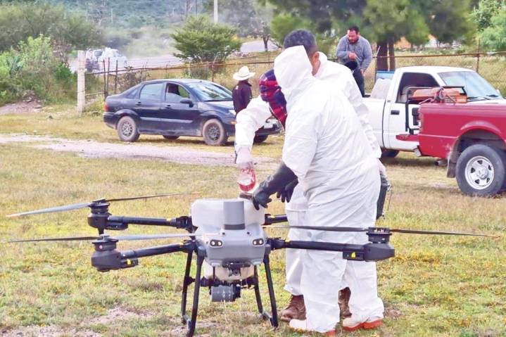 Productores toman acciones  contra el mosquito culex