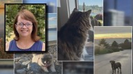 Seattle woman saves $60K becoming full time sitter