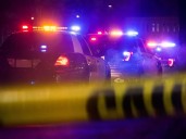 86-year-old man mauled to death by rottweilers in Norwalk