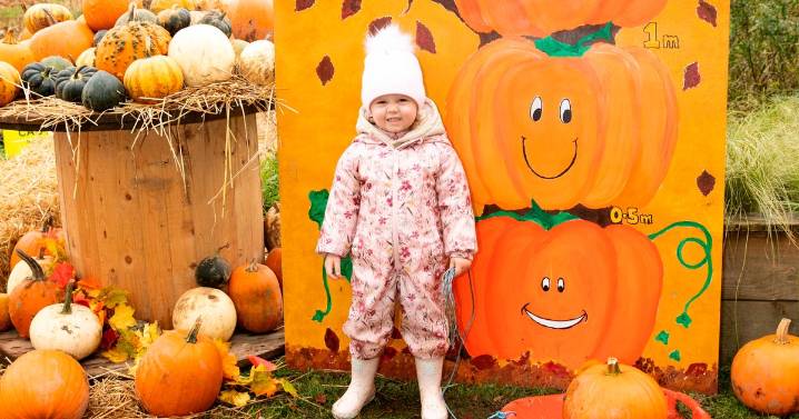 Autumn magic for families this October break at East Kilbride pumpkin patch