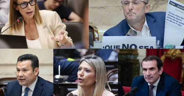 Cómo votarán los diputados de Neuquén el veto a la ley de financiamiento universitario