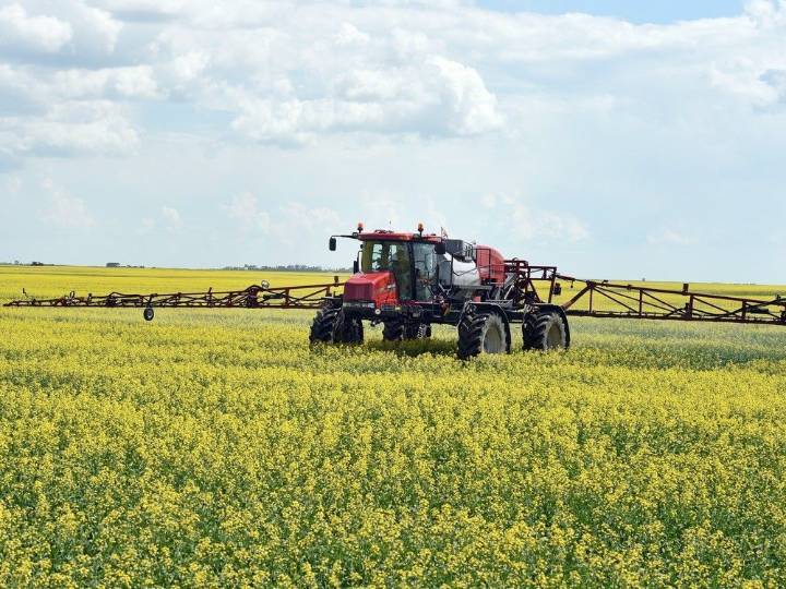 ’Mercy of politics’: Canadian farmers weigh plans as Chinese tariff hits canola price