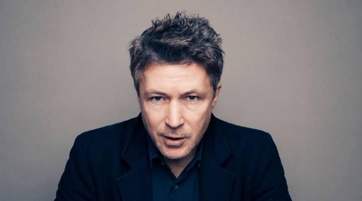 Aidan Gillen Joins FX's Witness Protection Pilot