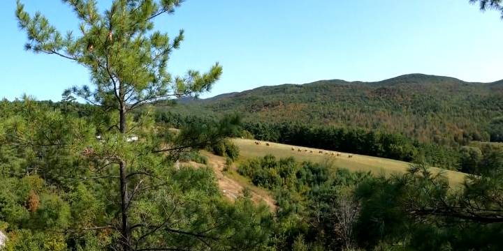 Hubbardton’s hidden gem