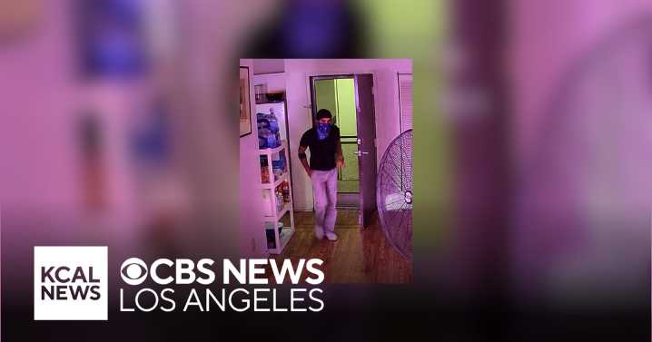 Suspect kills dog during West Hollywood burglary
