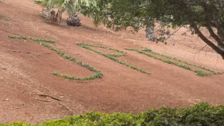 El jardinero "más gandul" de Las Palmas de Gran Canaria: "De milagro no lo escribió en minúsculas"
