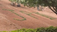 El jardinero "más gandul" de Las Palmas de Gran Canaria: "De milagro no lo escribió en minúsculas"