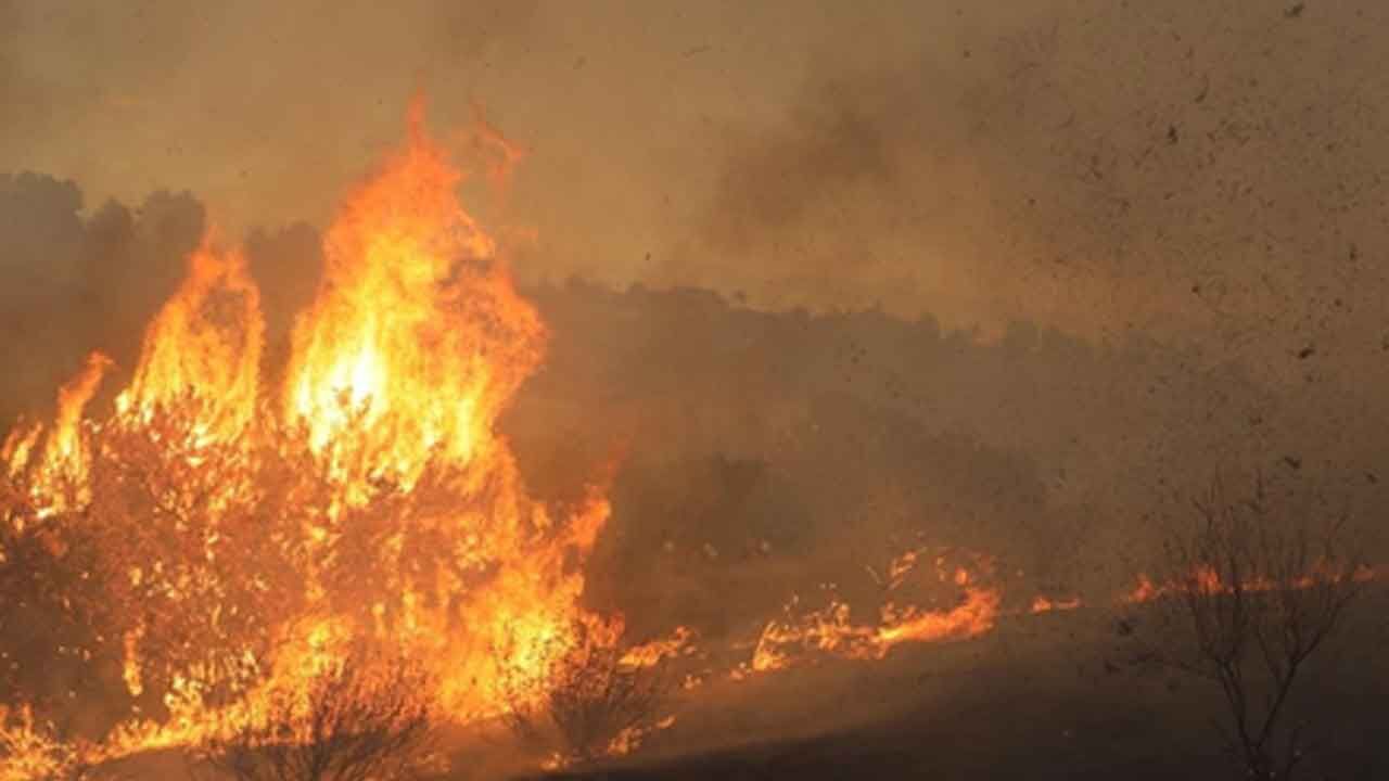Wildfires burn over 30 per cent of Etosha National Park in Namibia